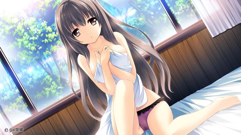 この大空に、翼をひろげて FLIGHT DIARY