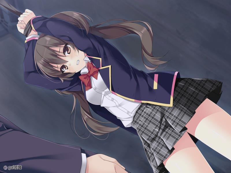 生意気令嬢連れ去りレイプ