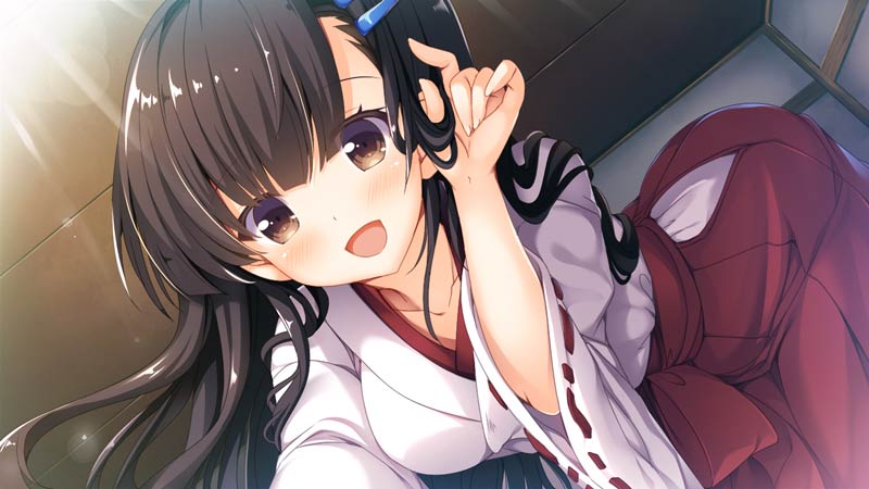 神様のしっぽ ～干支神さまたちの恩返し～