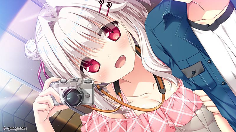 俺の姿が､透明に! 不可視の薬と数奇な運命