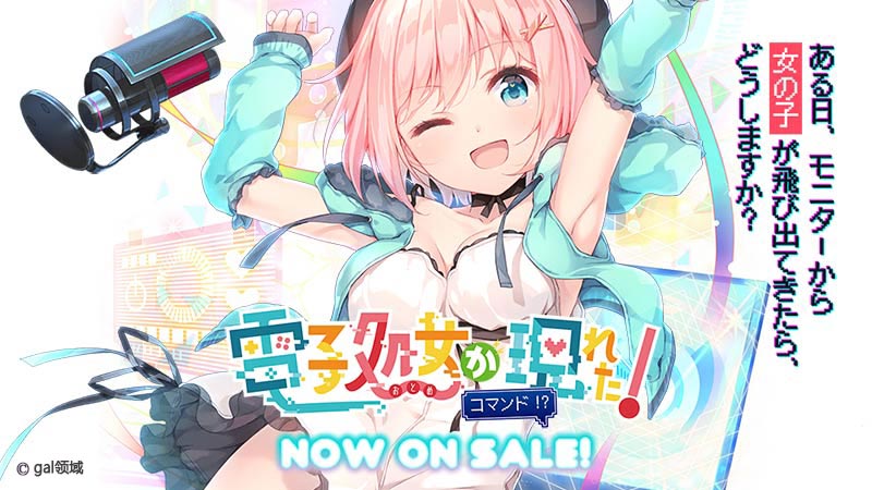 電子処*が現れた! コマンド!?