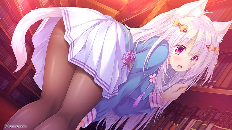 ねこツク、さくら。