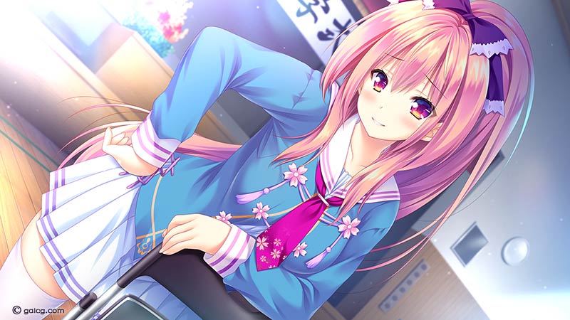 ねこツク、さくら。