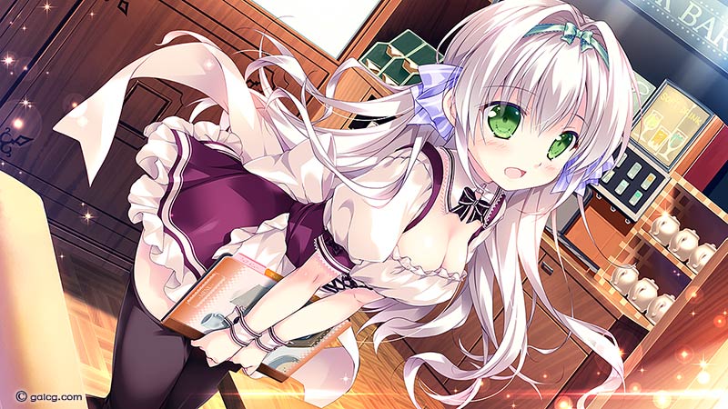 姫と乙女のヤキモチLOVE -きらめき夏物語！-