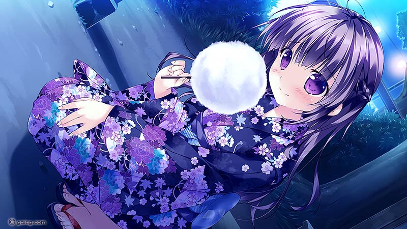 姫と乙女のヤキモチLOVE -きらめき夏物語！-