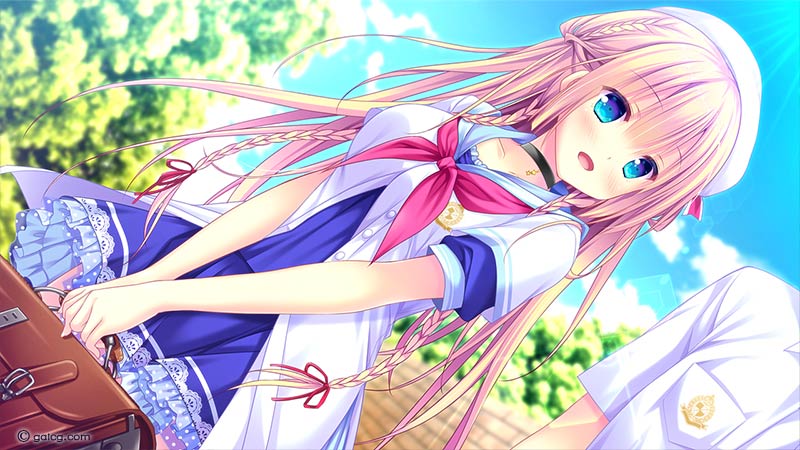 アナベル・メイドガーデン