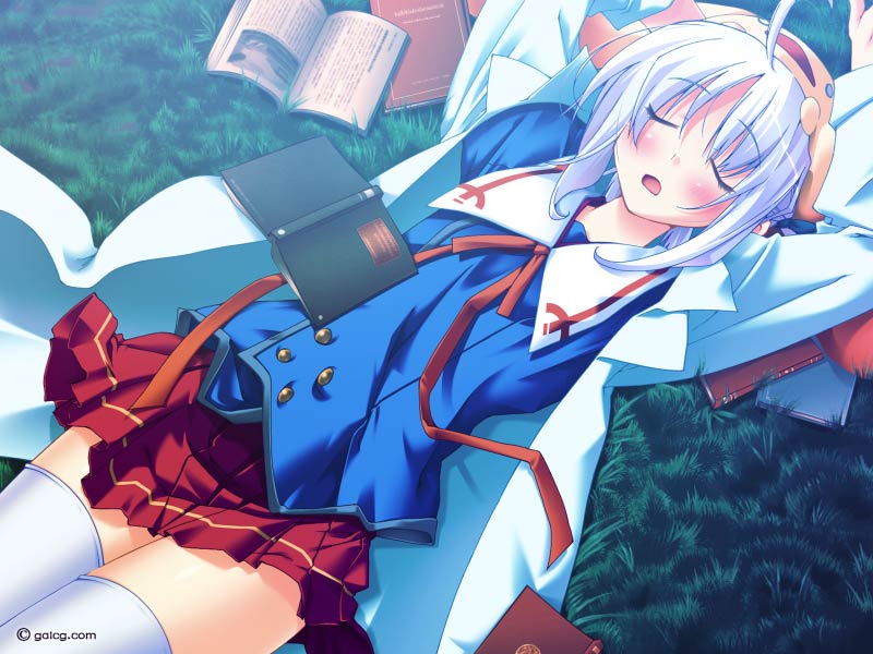 委員長は承認せず！～It Is a Next CHOice～