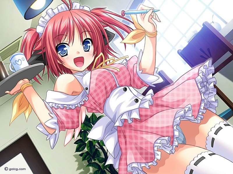 夏いろペンギン