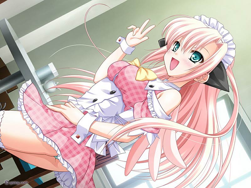 夏いろペンギン