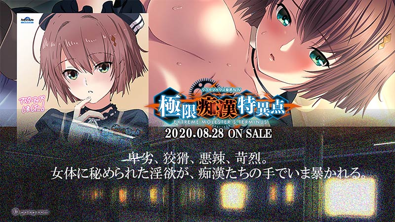 極限痴漢特異点