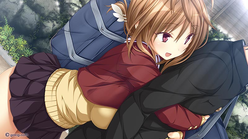 青春フラジャイル