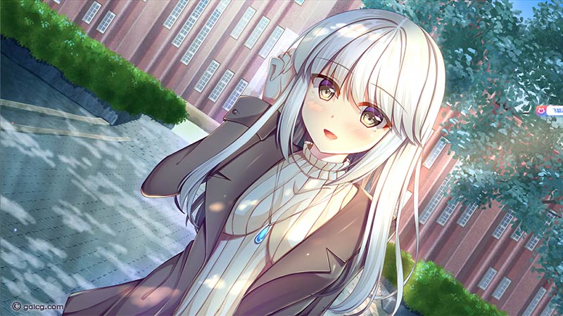 White Wings 白色之翼