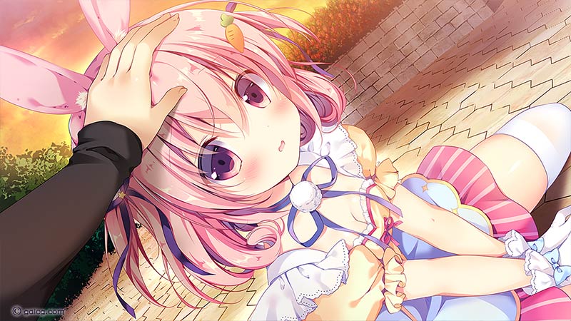 兽耳娘☆大作战 Animal☆Panic