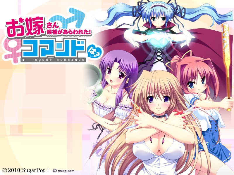 お嫁さん候補があらわれた！コマンドは？