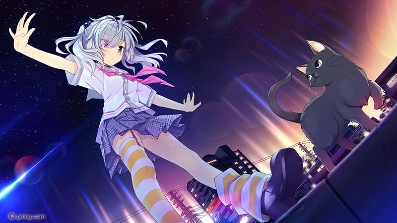 アインシュタインより愛を込めて