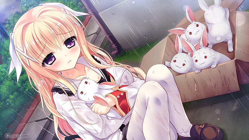 Bunny Paradise ばにぱら ～恋人全員バニー化計画～