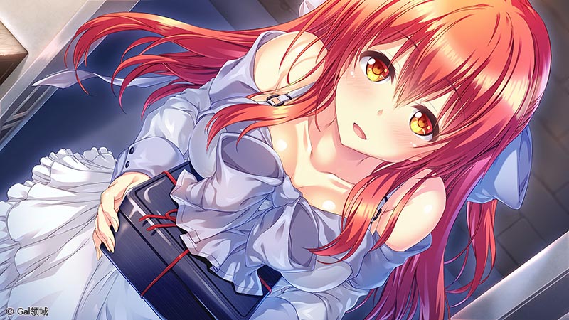 闇染Liberator -闇堕ち勇者と堕ちる戦姫-