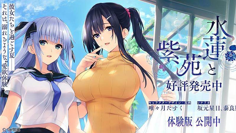 水蓮と紫苑