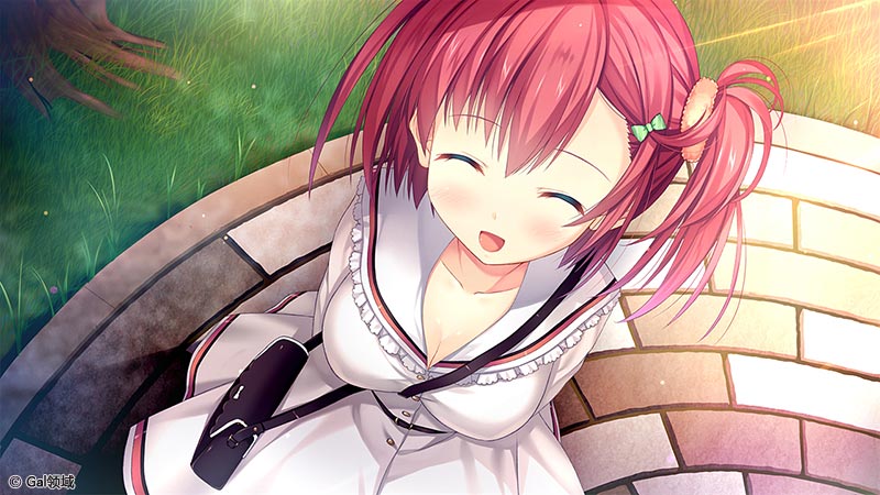 春音アリス＊グラムWパッケージ