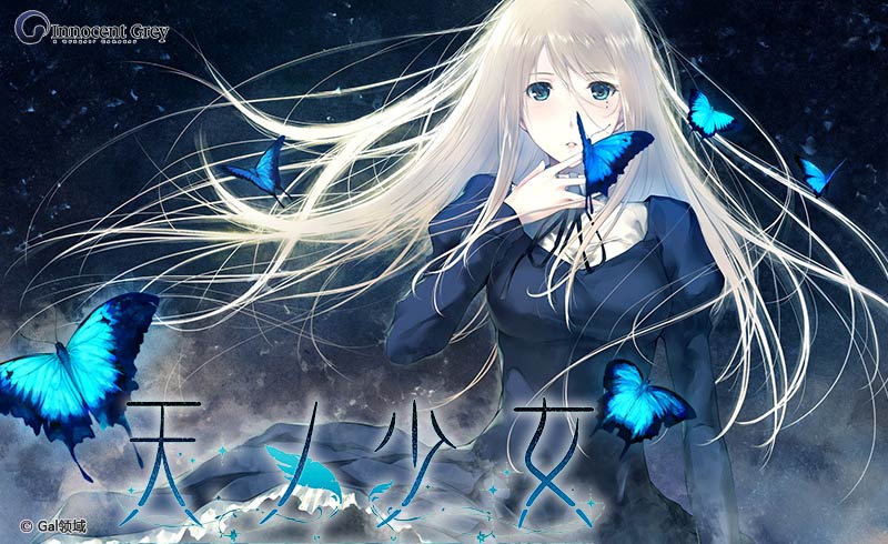 天ノ少女 PREMIUM EDITION