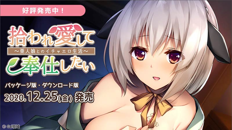 拾われ愛して奉仕したい ~亜人娘とのイチャエ*生活~