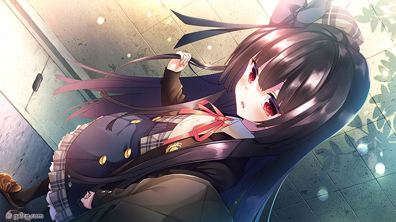 うちの主は妖怪の常識を知らない