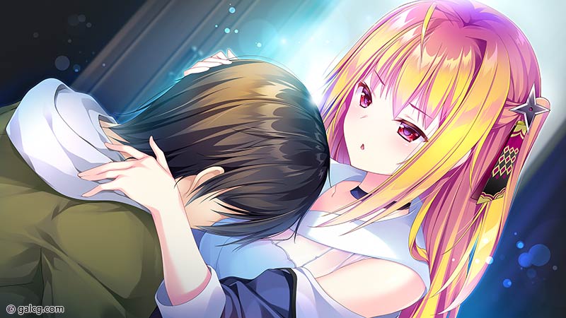 Secret Agent～騎士学園の忍びなるもの～