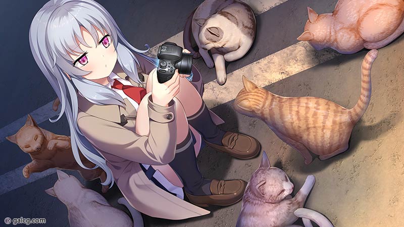 海と雪のシアンブルー