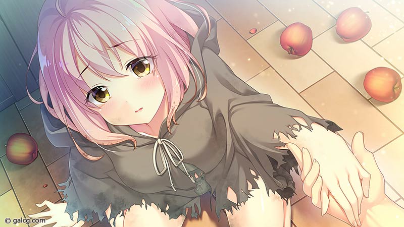 HaremKingdom -ハーレムキングダム-