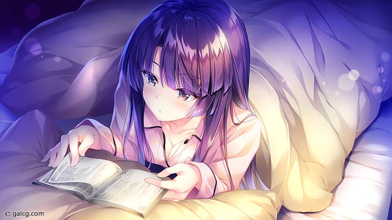 Secret Agent影華 ～shadow flower～