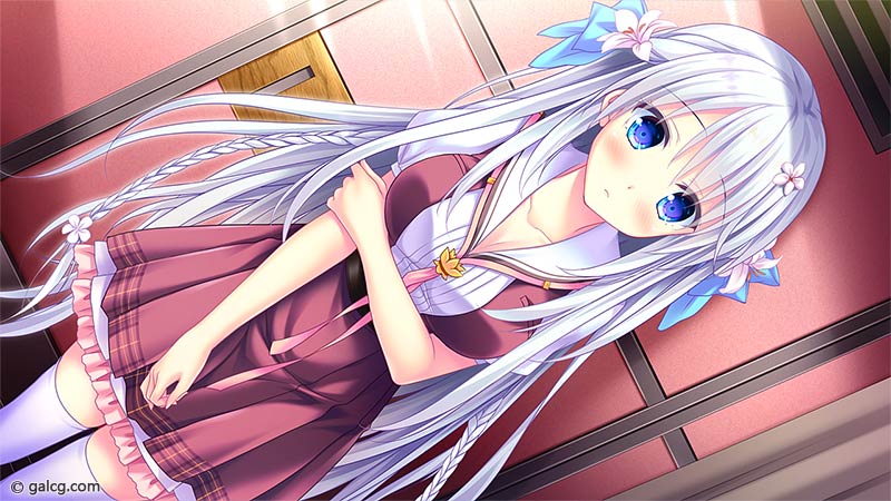 リリウム・ウェディングプラン