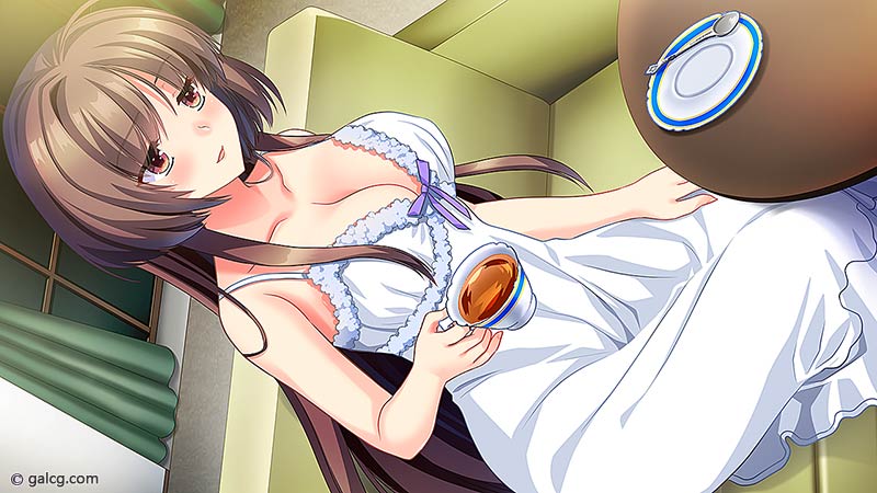 魔女狩りの失O学園 ～緊縛された令嬢のO水～