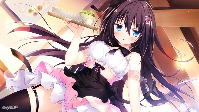 けもの道☆ガーリッシュスクエア