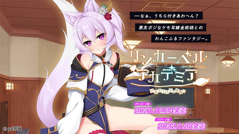 リンカーベル・アカデミア ~アルケミストは恋煩う~