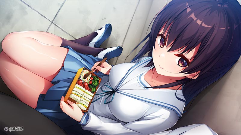 お兄ちゃん、手伝って！～夜の花嫁修業を頼まれて…～