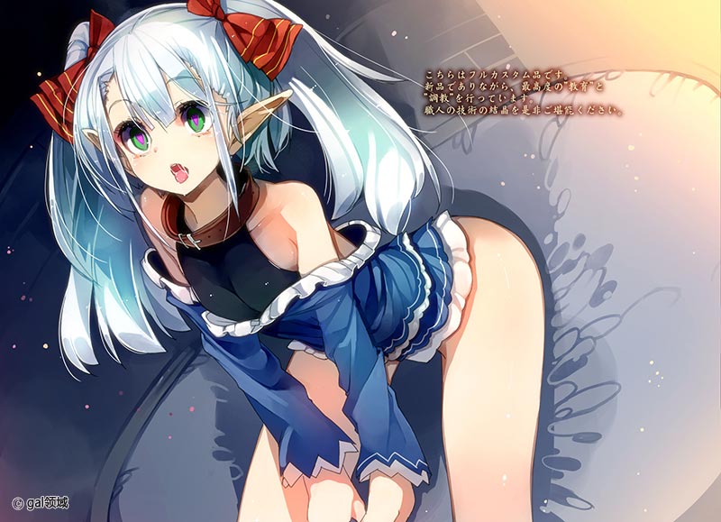 ELF SLAVE CATALOG 01