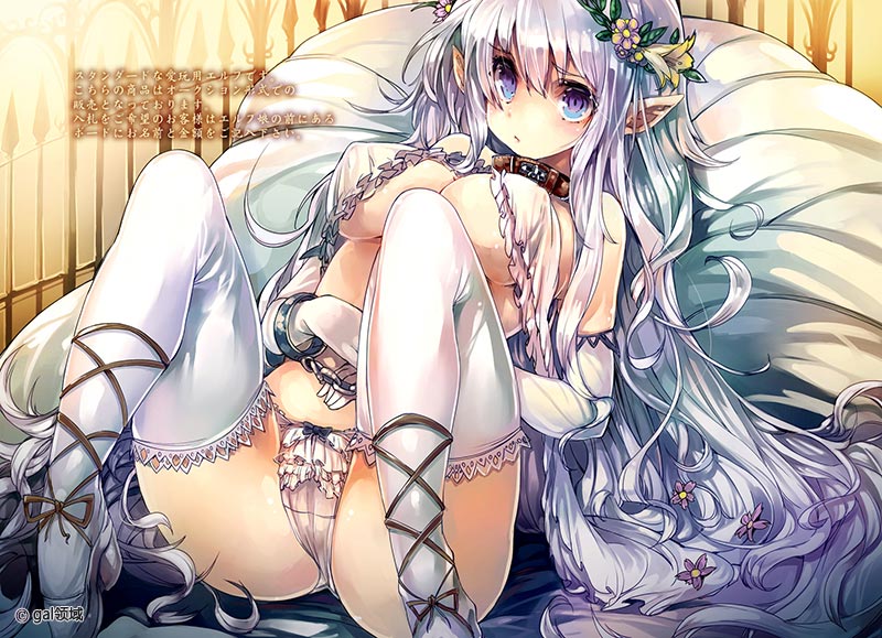 ELF SLAVE CATALOG 01