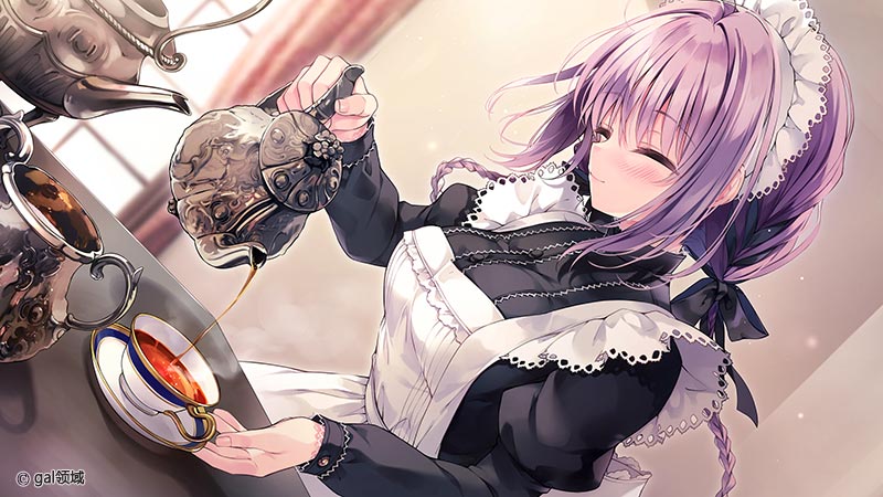 ご主人様、セイラに夢みたいないちゃラブご奉仕させていただけますか