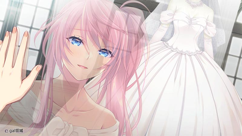 異世界の三姉妹さんが嫁いできました!?