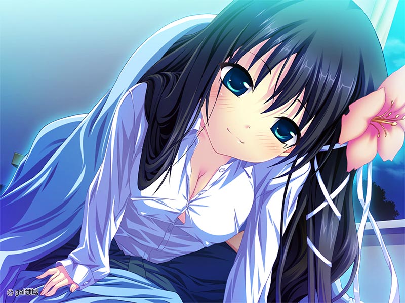 ステルラエクエス コーデックス ～黄昏の姫騎士～