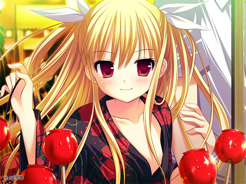 ステルラエクエス コーデックス ～黄昏の姫騎士～