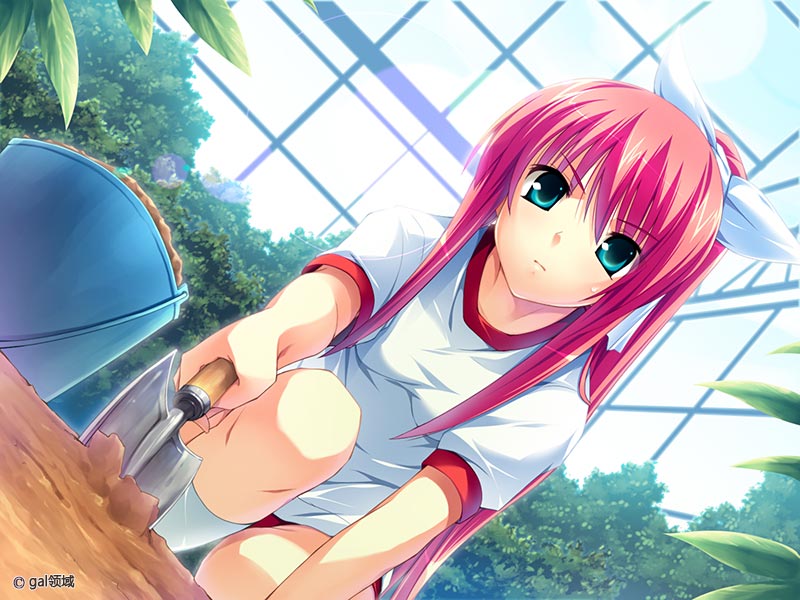 花と乙女に祝福を