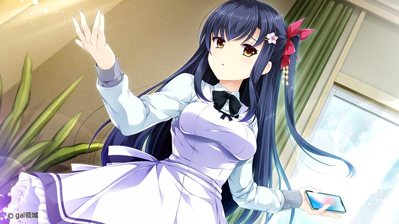 シャイニー・シスターズ