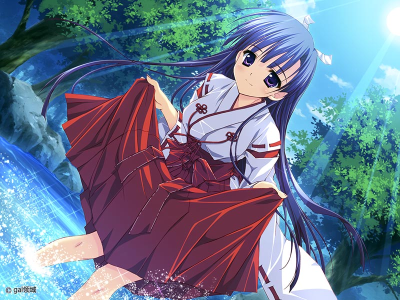 星空へ架かる橋