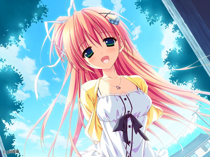 星空へ架かる橋