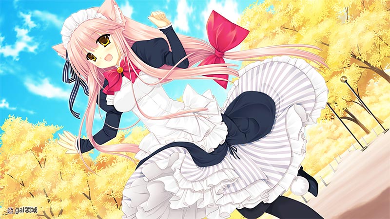 猫撫ディストーション