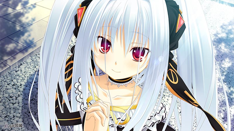 猫撫ディストーション