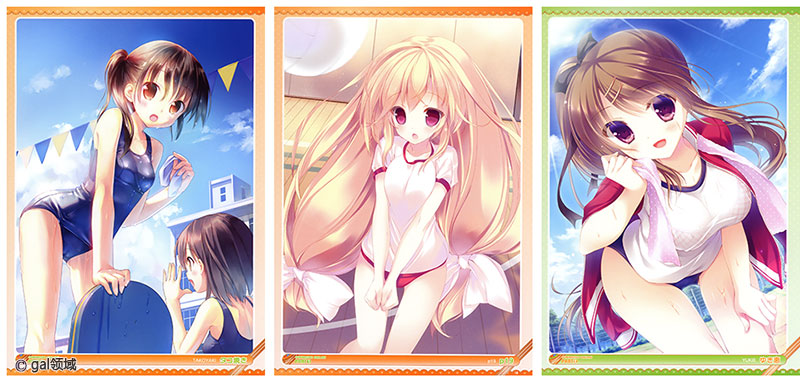 おとなの萌王 2013 体育の授業のぞき見本