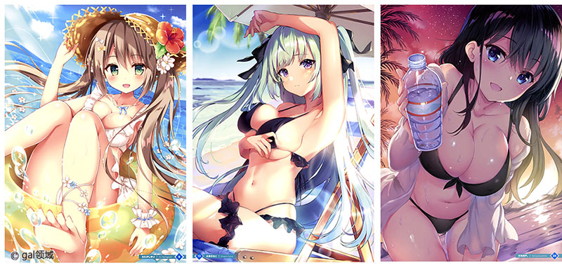 おとなの萌王 キュンとするカノジョの水着本