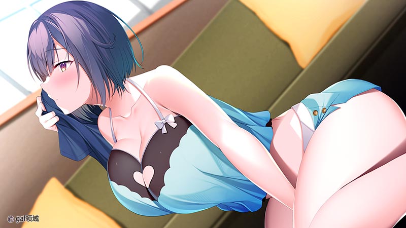 お姉ちゃんの代わりに抜いてあげます ～彼女の妹は、仕方ないからと絶対にヤらせてくれる～